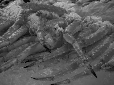 norway cruiseの写真素材