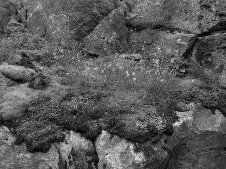 Scenic norwayの写真素材