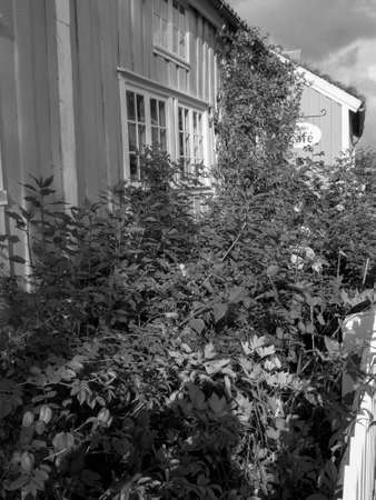 Scenic norwayの写真素材