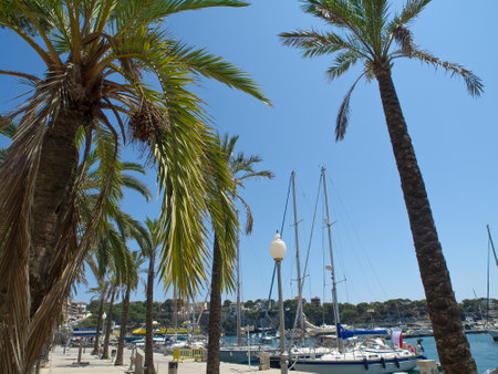 the island of Mallorcaの写真素材