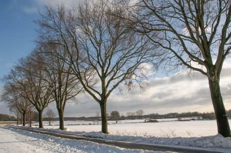 winter time in westphaliaの写真素材