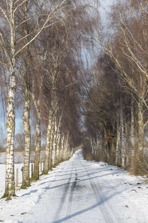 winter time in westphaliaの写真素材