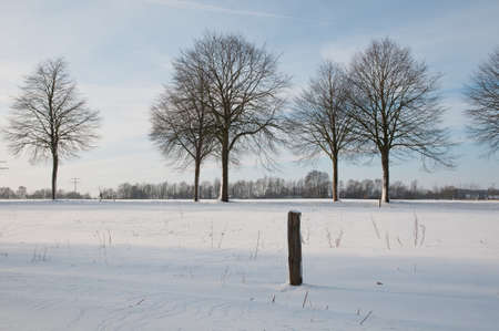 winter time in westphaliaの写真素材