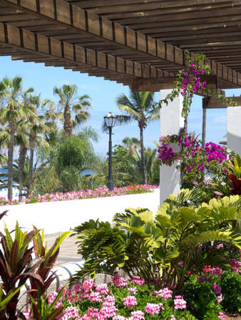 tenerife island in spainの写真素材