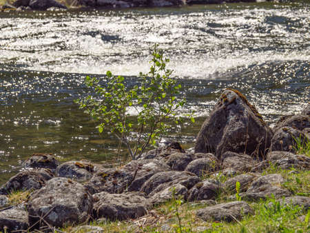 springtime in norwayの写真素材