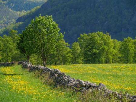 springtime in scandinavia