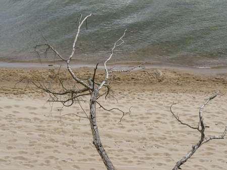 Sopot city in Polandの写真素材