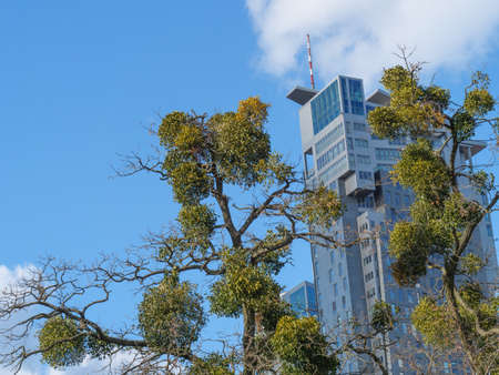 Gdynia in polandの写真素材