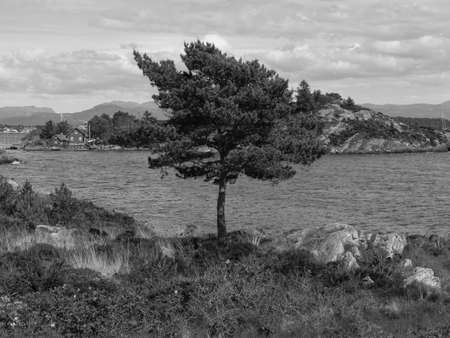 Stavanger in Norwayの写真素材