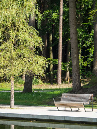 Summer time in the parkの写真素材