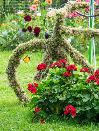 Summer time in the parkの写真素材