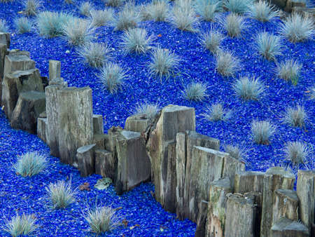 Summer time in the gardenの写真素材