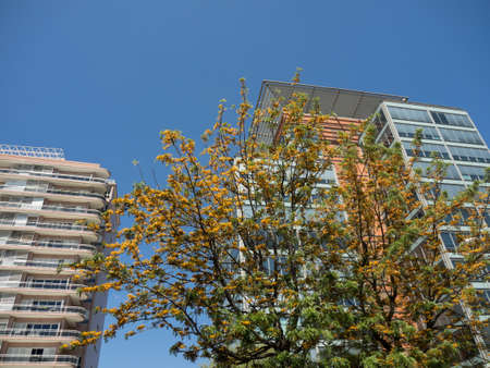 LisbonPortugalの写真素材