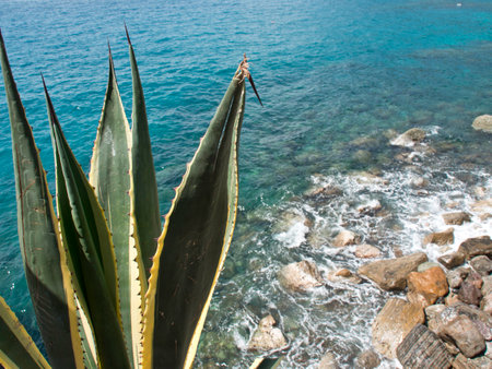 Cinque Terre in Italyの写真素材