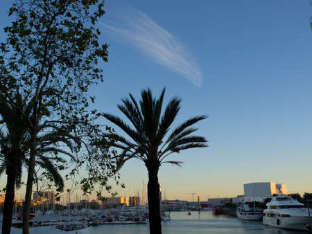 the city of Barcelonaの写真素材