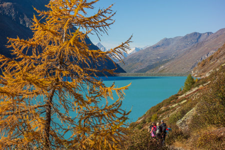 hiking in the swiss alpsの写真素材