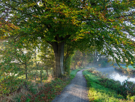 autumn at the riverの写真素材