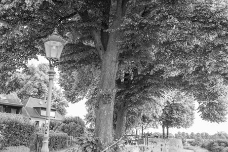 the city of Rees on the rhine riverの写真素材