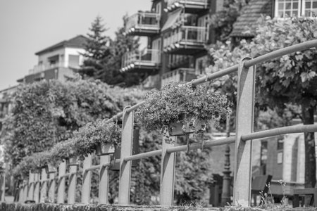 the city of Rees on the rhine riverの写真素材