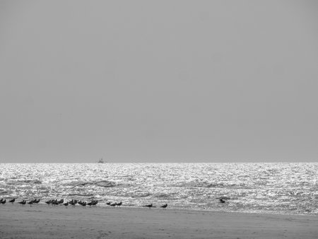 De Haan on the north sea in Belgiumの写真素材
