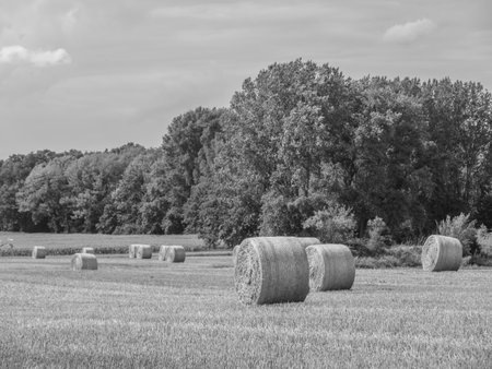 summertime in westphaliaの写真素材