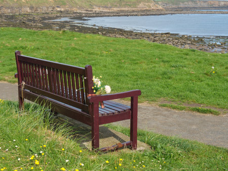 garden nesr newcastle in englandの写真素材