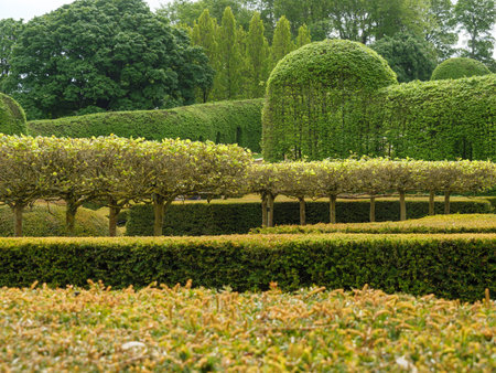 garden nesr newcastle in england