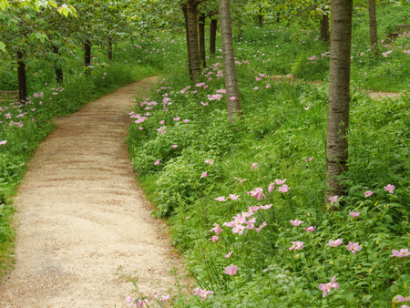 garden nesr newcastle in england