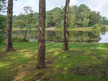 Haaksbergen in the Netherlandsの写真素材