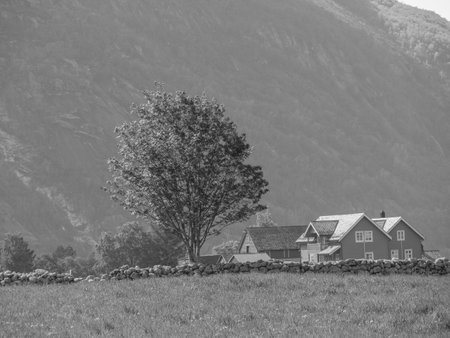 small village in a Norwegian fjordの写真素材