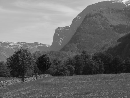 small village in a Norwegian fjordの写真素材