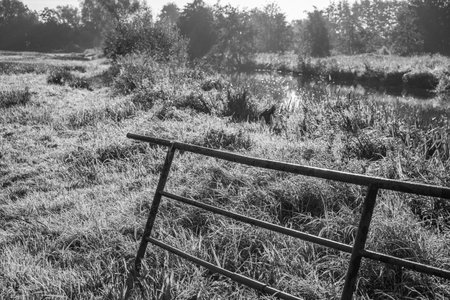 early morning at the riverの写真素材