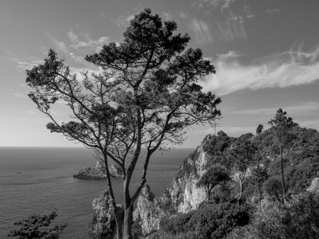 Corfu island in Greeceの写真素材