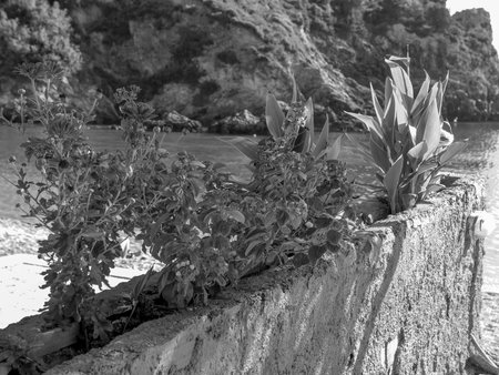 Corfu island in Greeceの写真素材