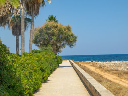 the island of Mallorca in Spainの写真素材