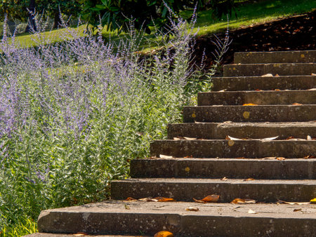 Barcelona city in Spainの写真素材