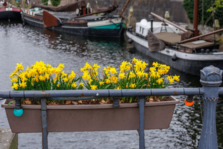 Rotterdam in the Netherlandsの写真素材