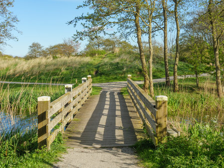 the island of Ameland in the Netherlandsの写真素材