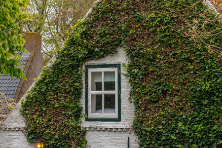 the island of Ameland in the Netherlandsの写真素材