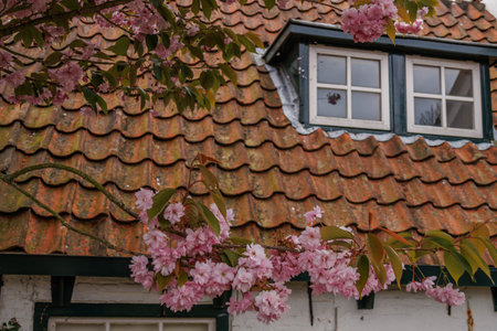 the island of Ameland in the Netherlandsの写真素材