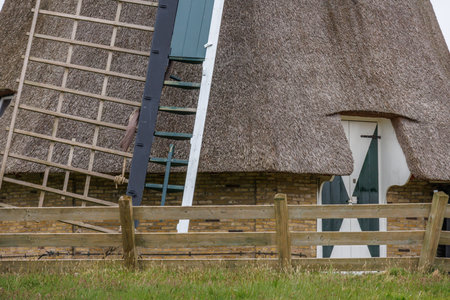 the island of Ameland in the Netherlandsの写真素材