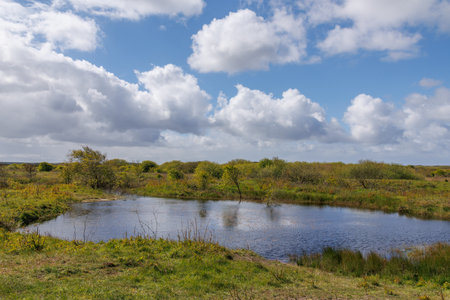 the island of Ameland in the Netherlandsの写真素材