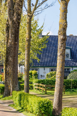 the island of Ameland in the Netherlandsの写真素材