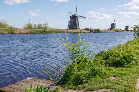 the windmills of Kinderdijk in the Netherlandsの写真素材