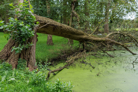Eibergen in the Netherlands