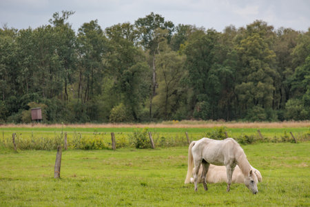 Eibergen in the Netherlandsの写真素材