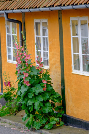 Svaneke on Bornholm Island in Denmarkの写真素材