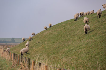 small villages in East Frisia