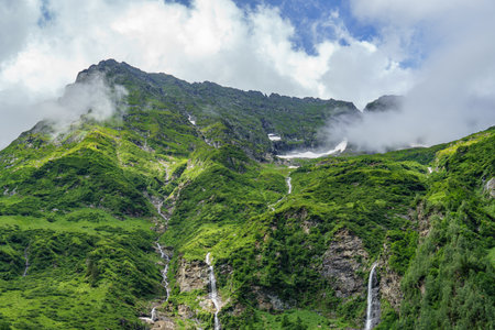 the austrian alps at summer timeの写真素材