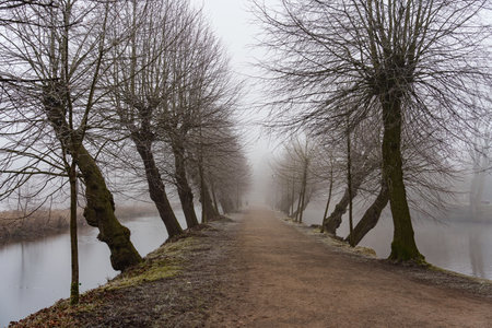 cold winter day at a lake in Westphalia
